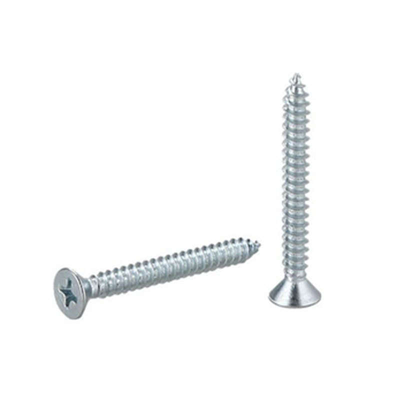 Precautions for customized White Zinc Plated Drywall Screws